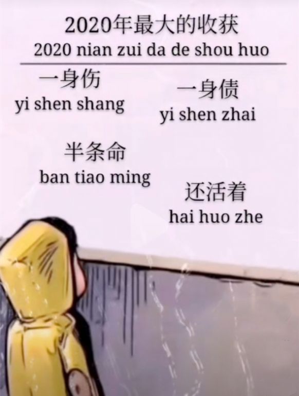 2020年最大的收获一身伤一身债半条命还活着图片合集v10
