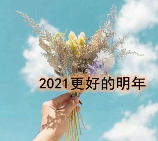 2021 更好的明年说说祝福语大全图片 v1.