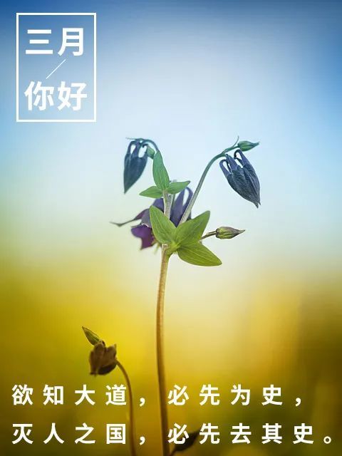 2021年三月你好带祝福字图片分享,三月朋友圈说说专用