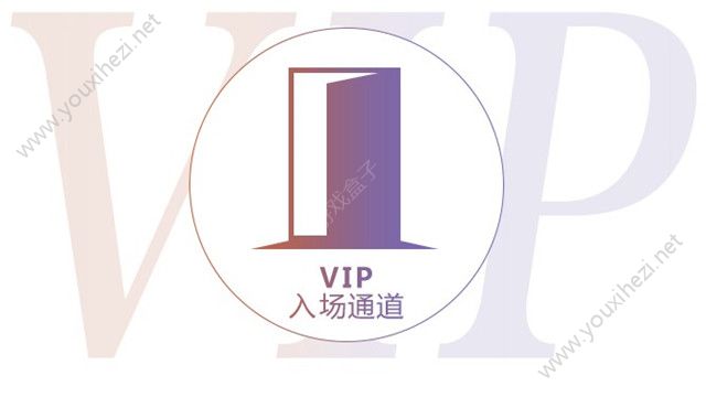 vip检票优先入场通道